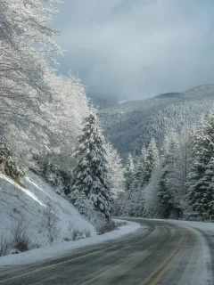 пейзаж, природа, красота