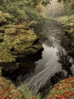 пейзаж, природа, красота