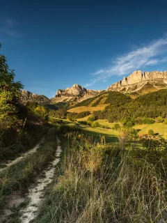 пейзаж, природа, красота