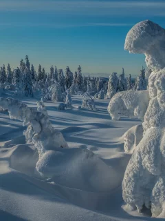 пейзаж, природа, красота