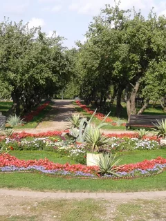клумба, парк