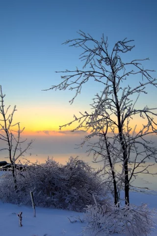пейзаж, природа, красота