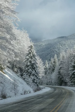 пейзаж, природа, красота