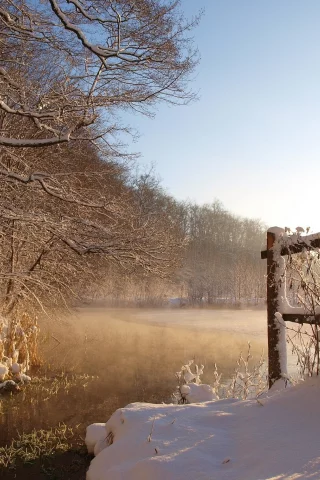 пейзаж, природа, красота