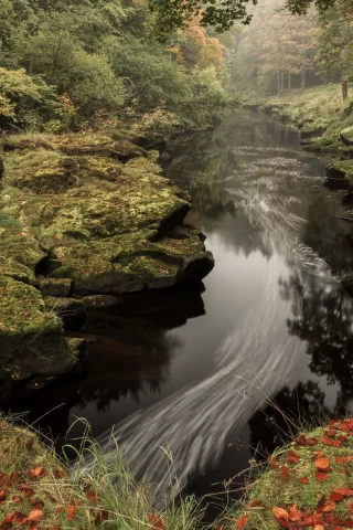 пейзаж, природа, красота