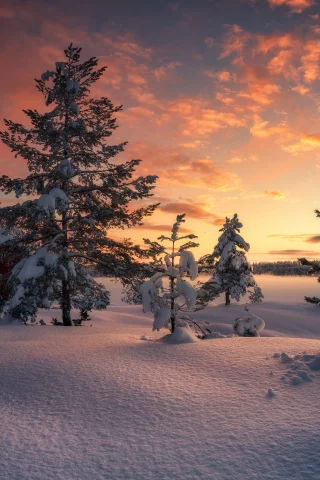 пейзаж, природа, красота