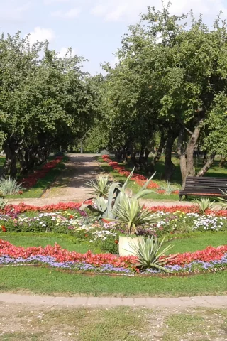 клумба, парк