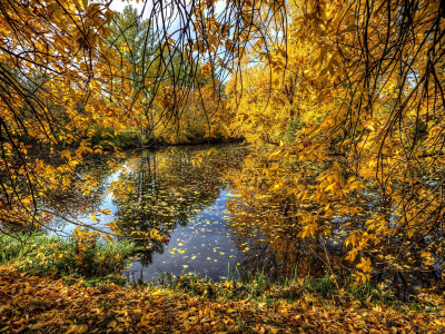 пейзаж, природа, красота