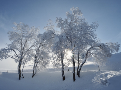 пейзаж, природа, красота