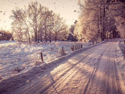 зима, снег, деревья, дорога