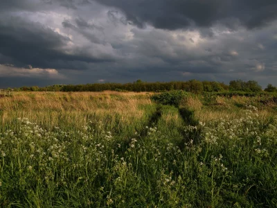 пейзаж, природа, красота