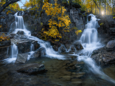 природа, лес, водопад