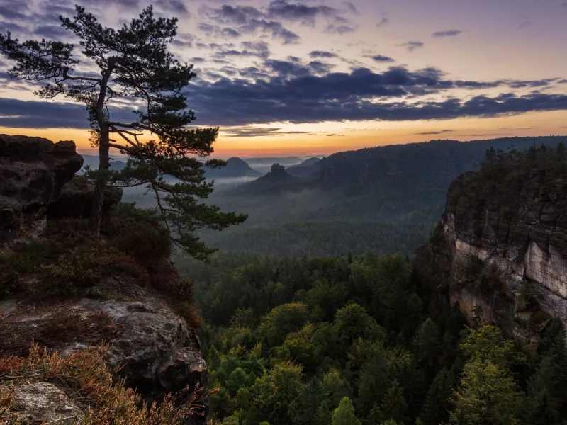 пейзаж, природа, красота