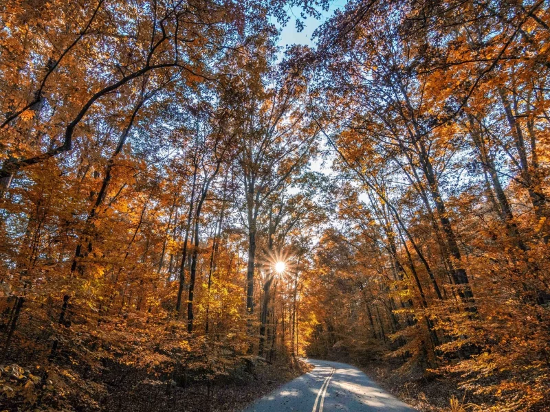 пейзаж, природа, красота