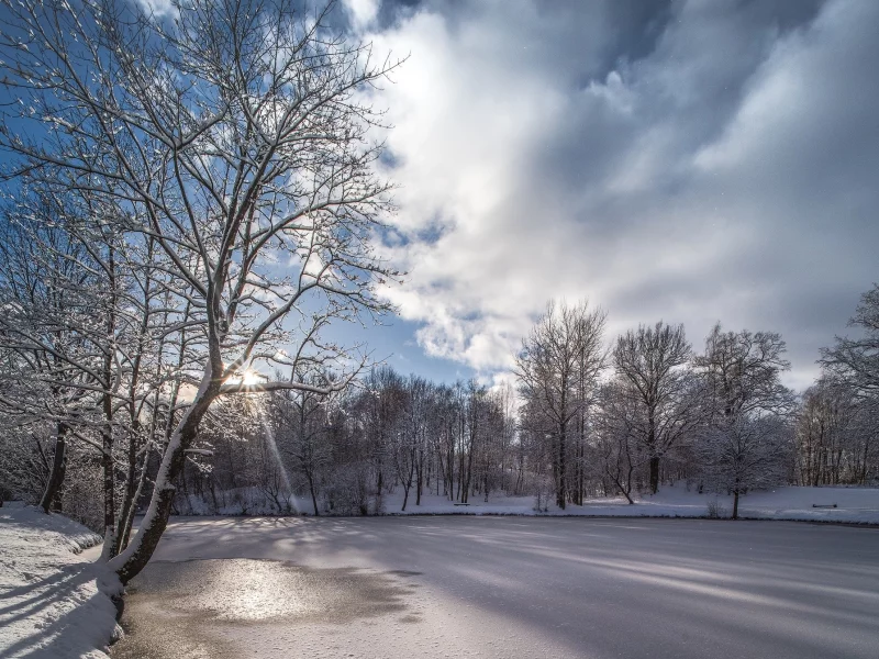 пейзаж, природа, красота