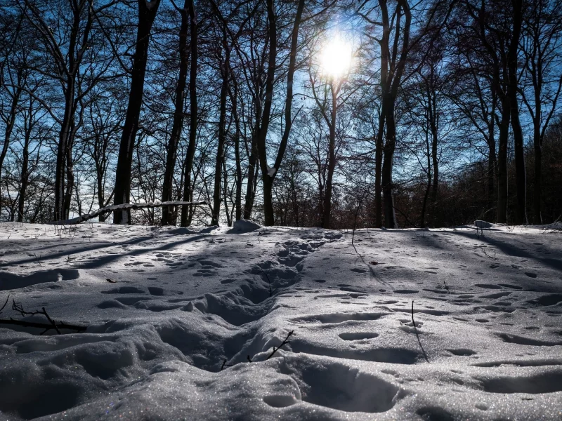 пейзаж, природа, красота