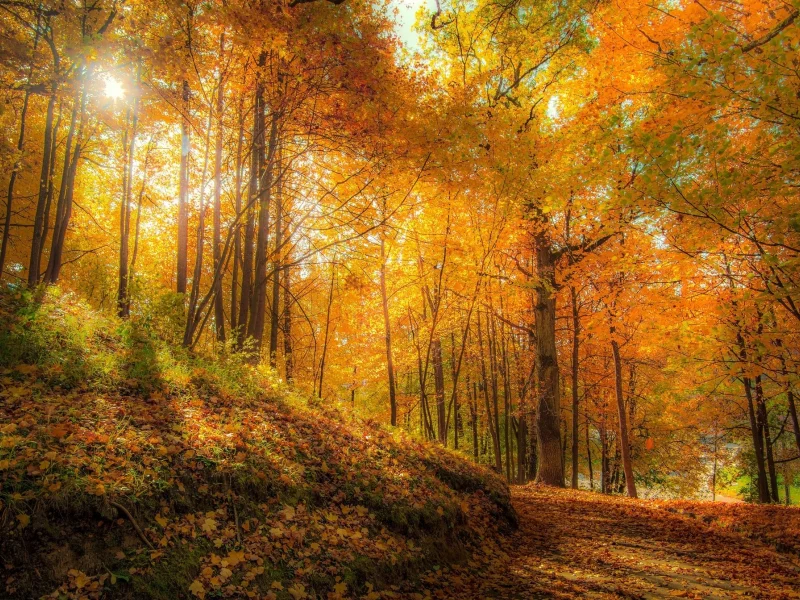 пейзаж, природа, красота