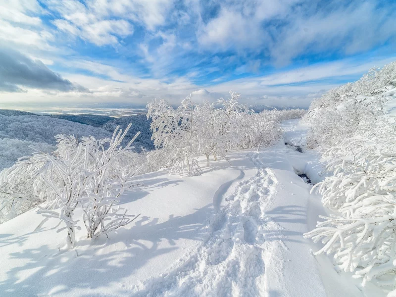 пейзаж, природа, красота