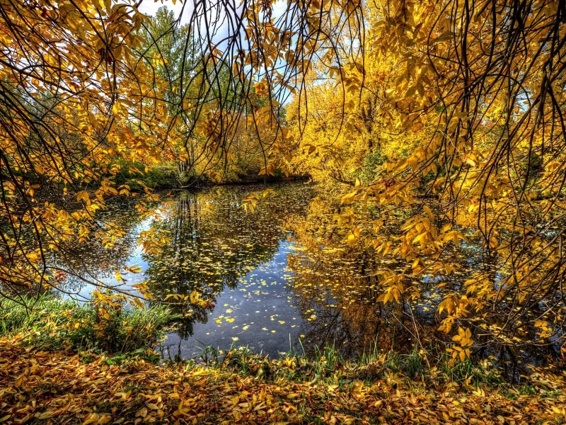 пейзаж, природа, красота
