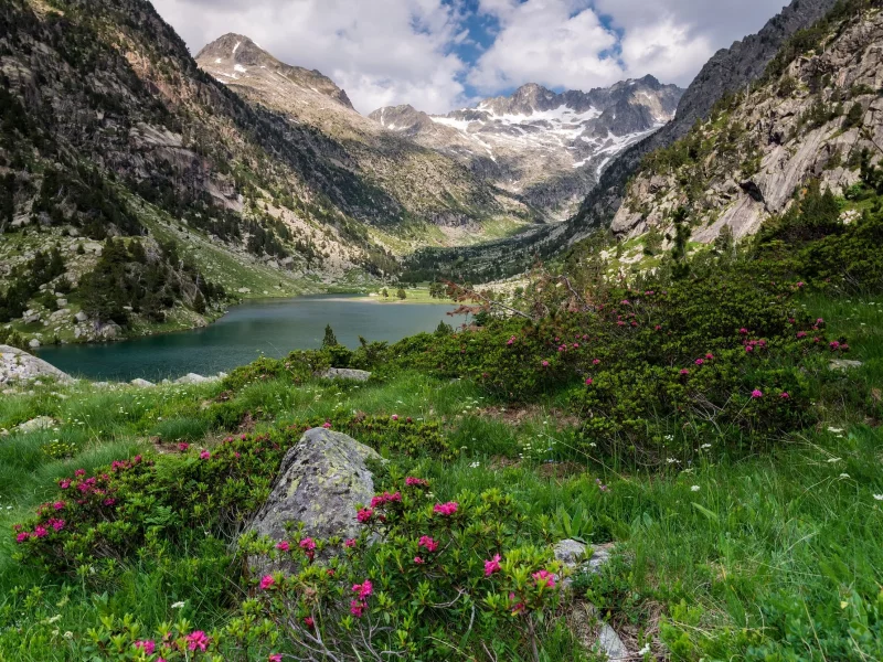 пейзаж, природа, красота