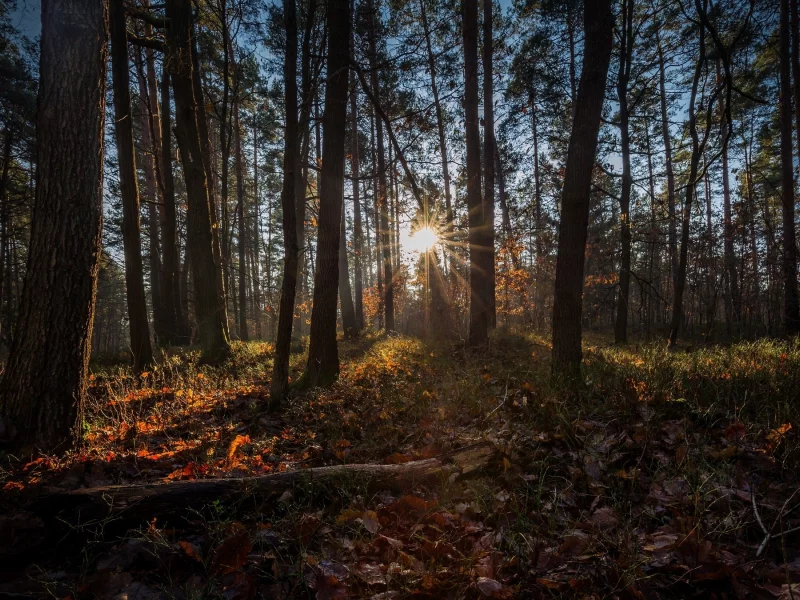 пейзаж, природа, красота