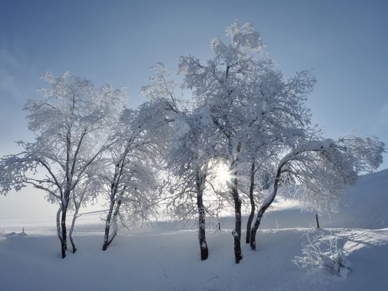пейзаж, природа, красота