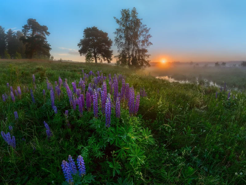 пейзаж, природа, красота