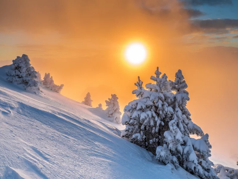 пейзаж, природа, красота