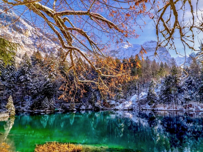 пейзаж, природа, красота