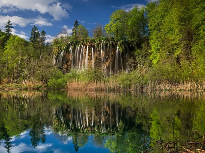 пейзаж, природа, красота