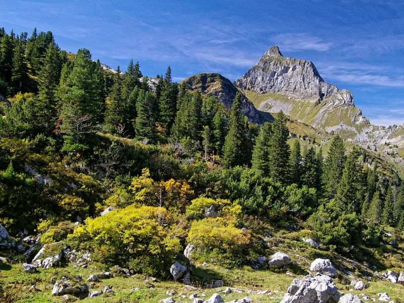 пейзаж, природа, красота