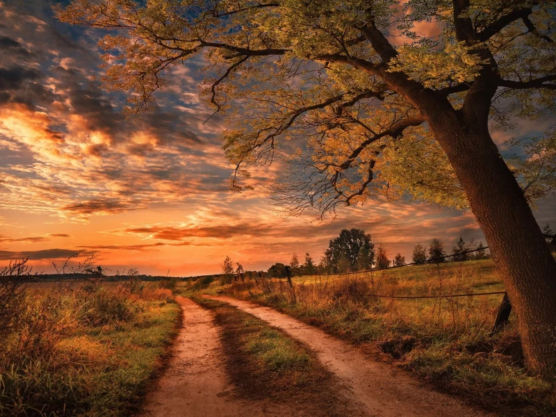 пейзаж, природа, красота