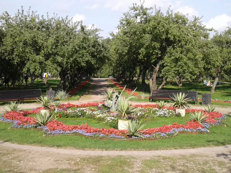 клумба, парк