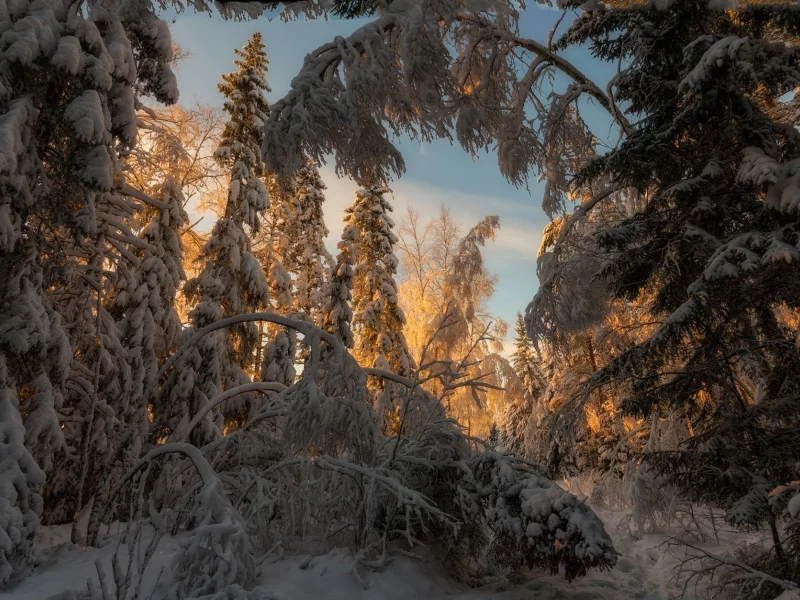 пейзаж, природа, красота