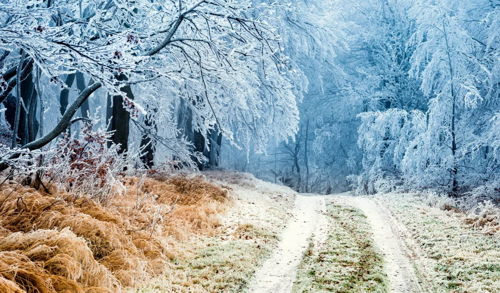 пейзаж, природа, красота