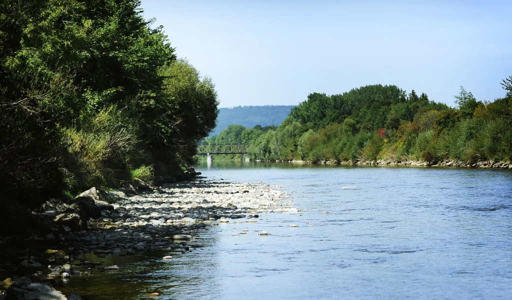 речка, деревья, вода