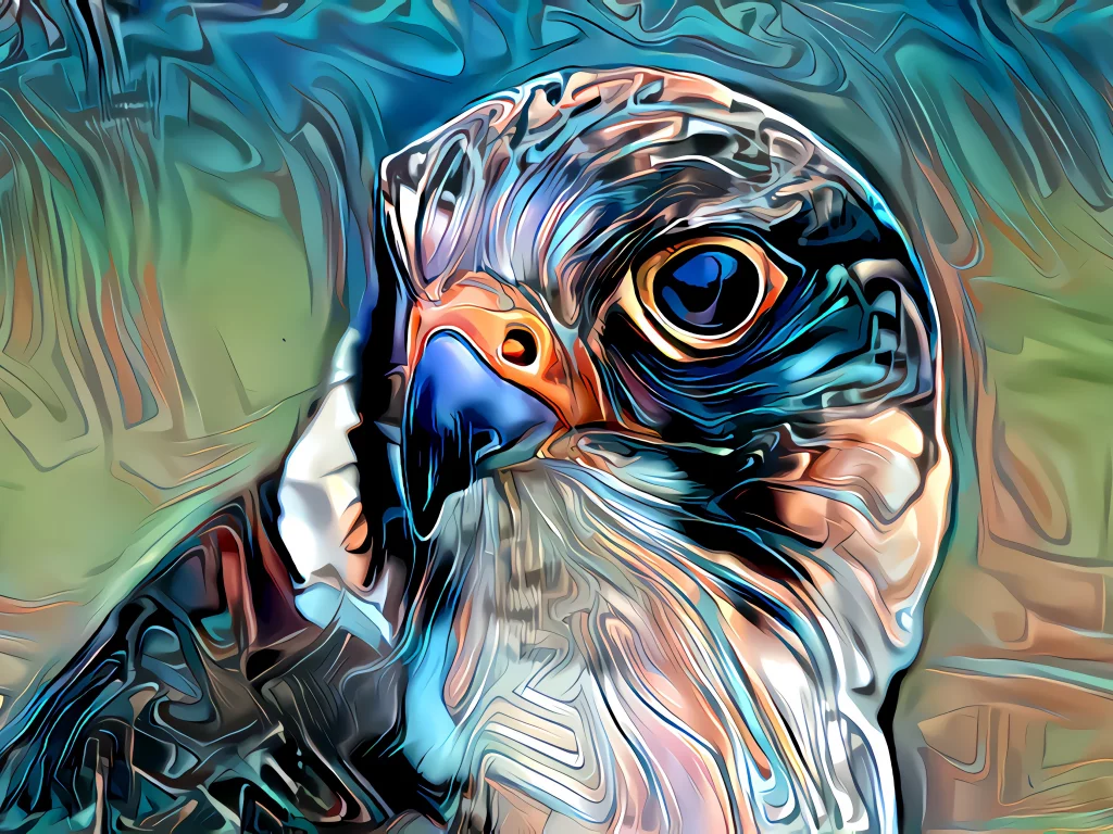 птица, цвет