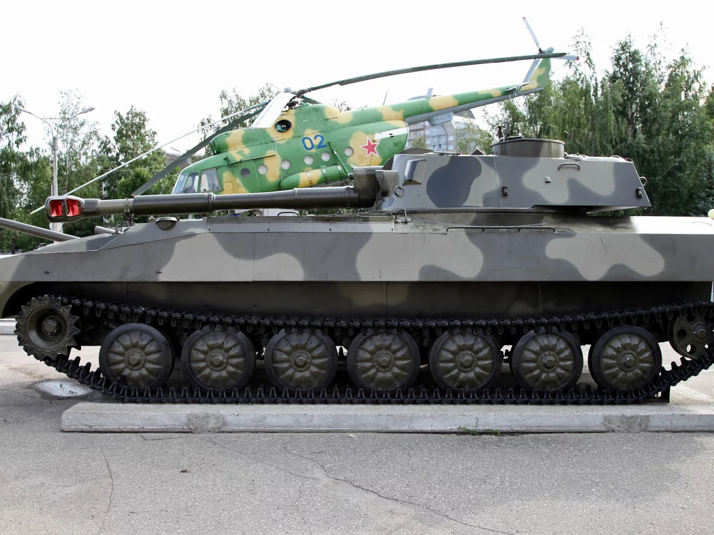 сау, гвоздика