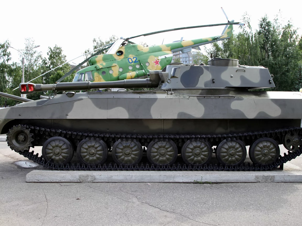 сау, гвоздика
