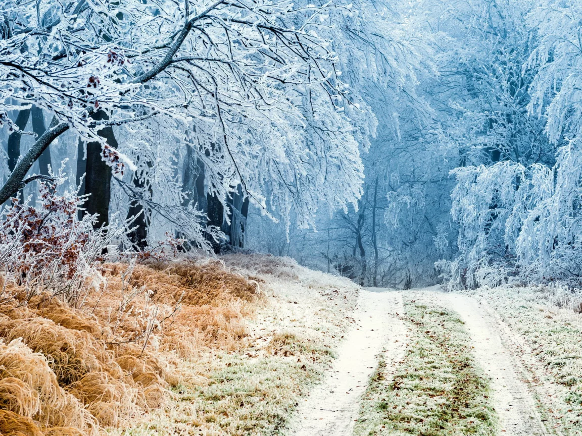 пейзаж, природа, красота