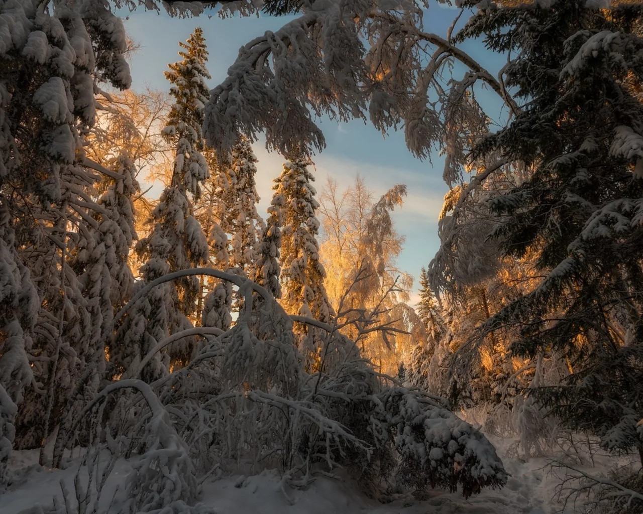 пейзаж, природа, красота