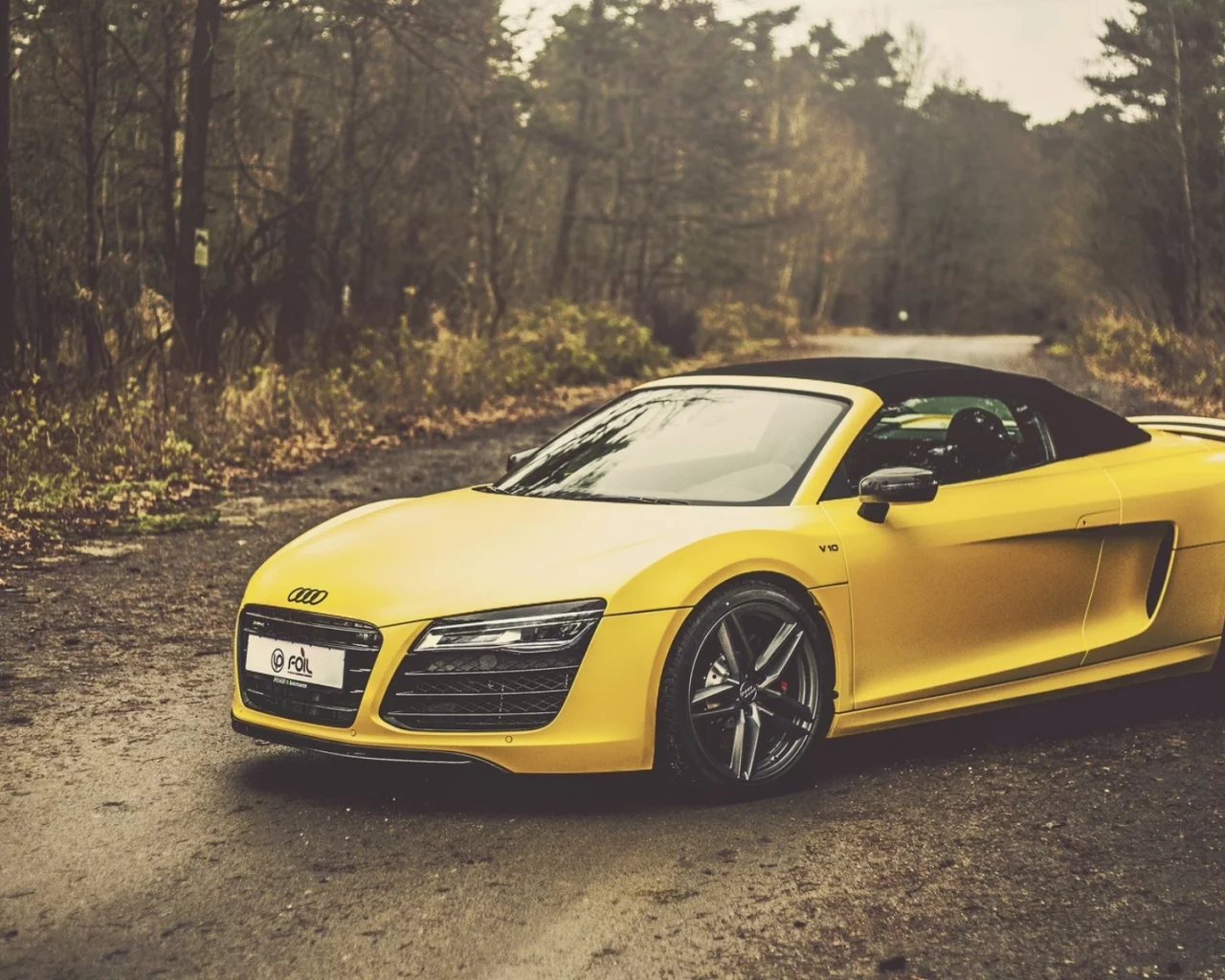 auto, audi spyder