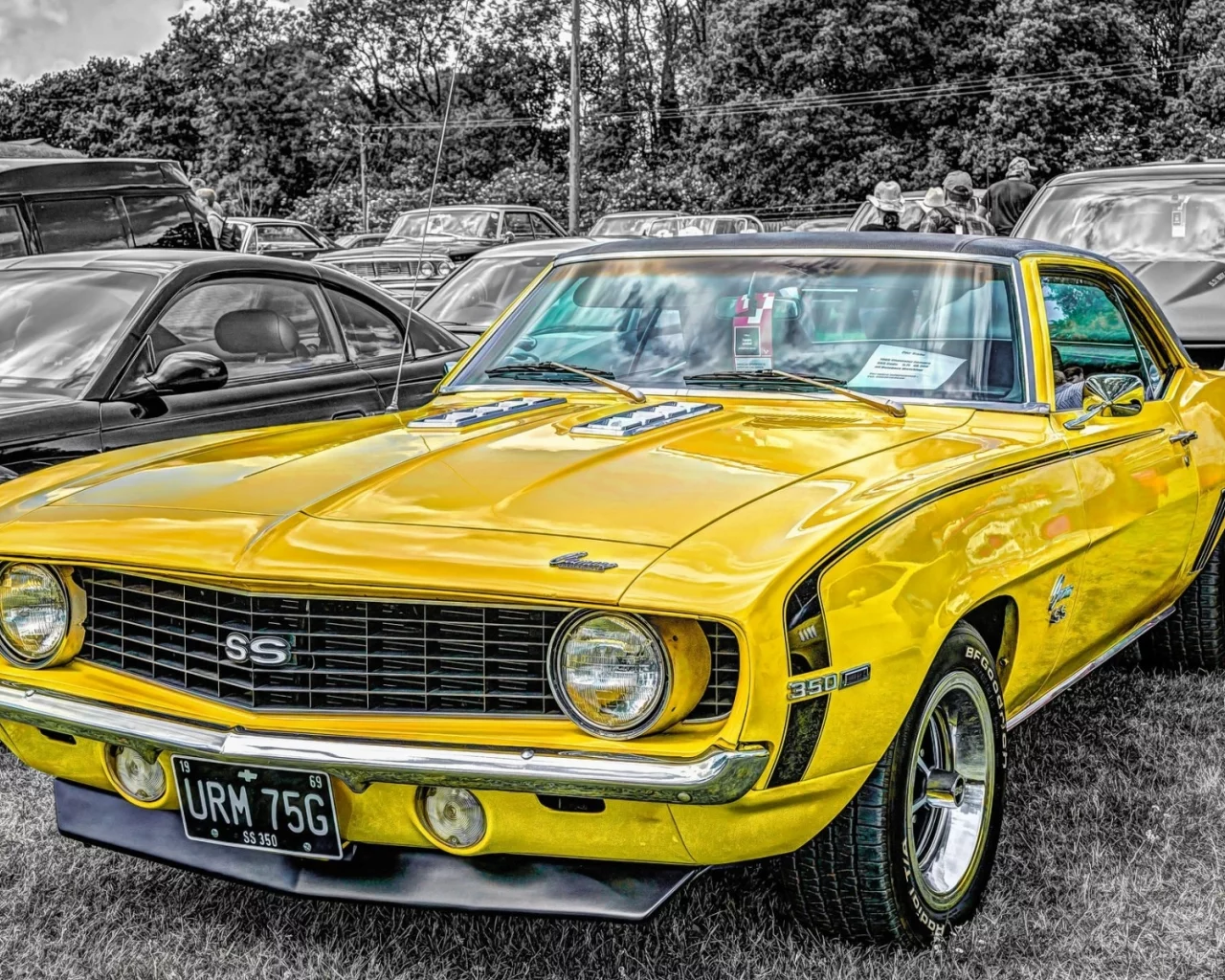 auto, chevrolet camaro