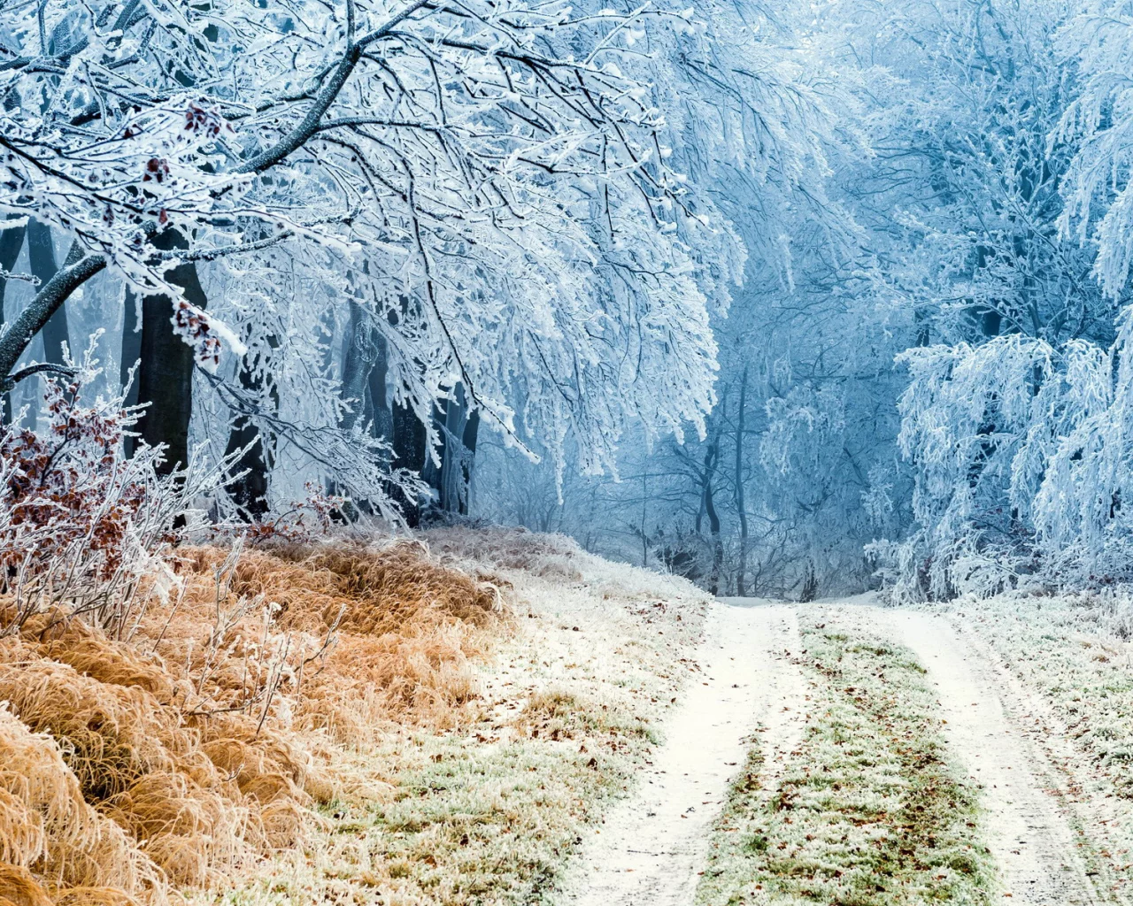 пейзаж, природа, красота
