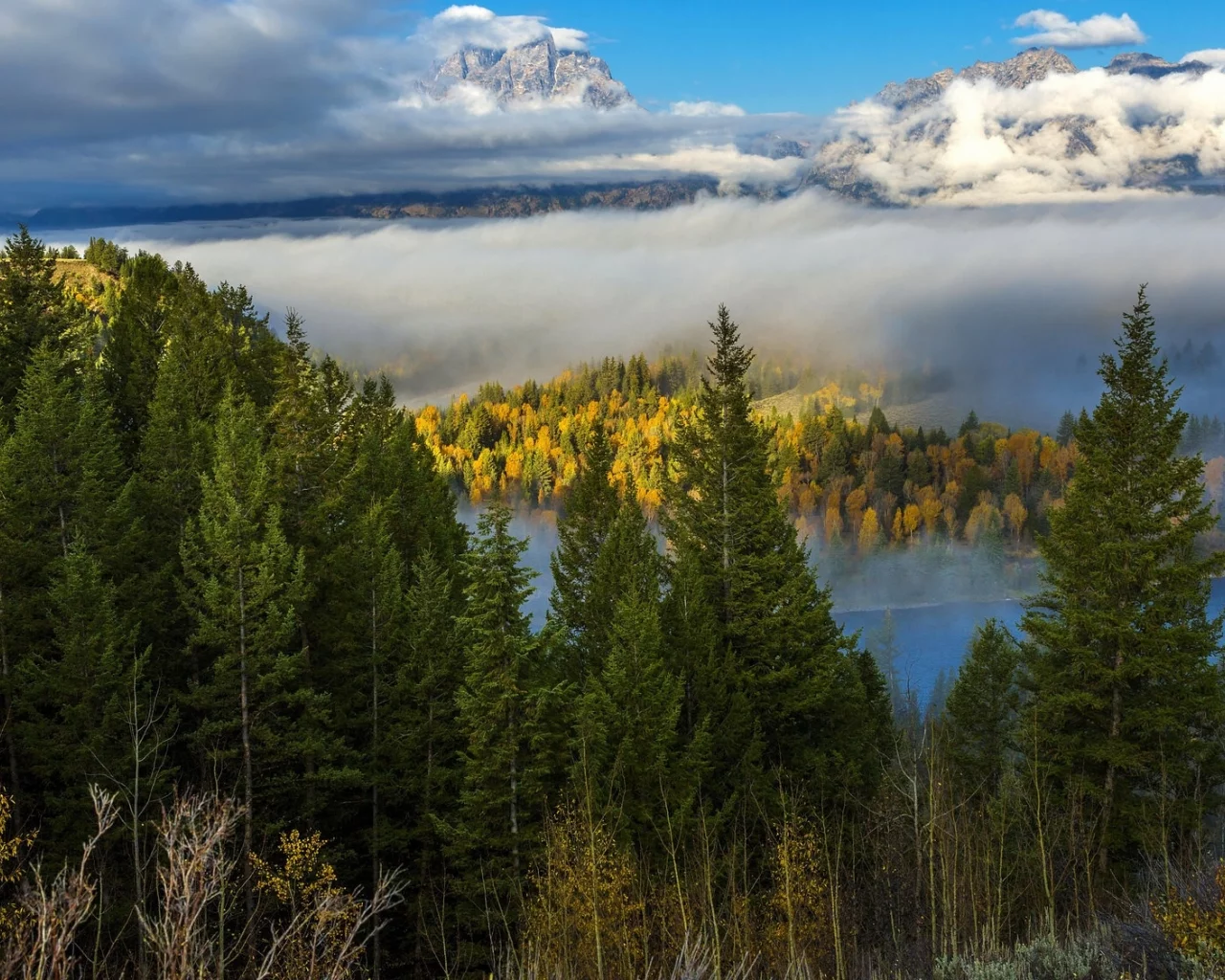 пейзаж, природа, красота