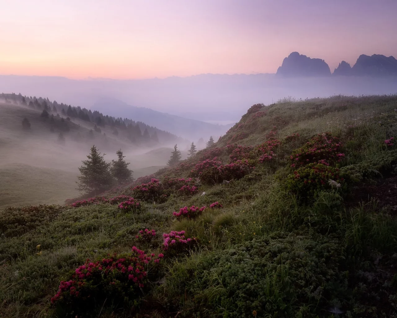 пейзаж, природа, красота