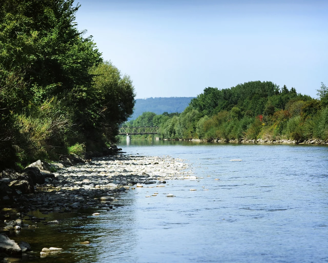 речка, деревья, вода