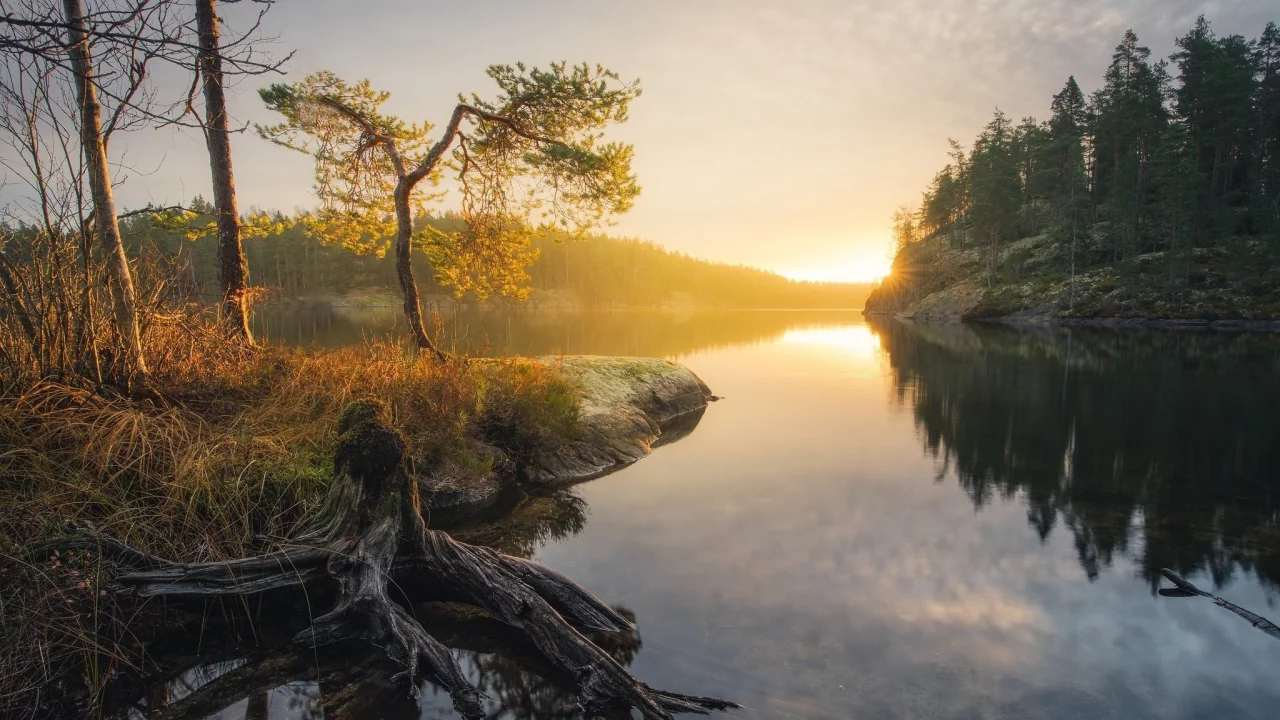 пейзаж, природа, красота