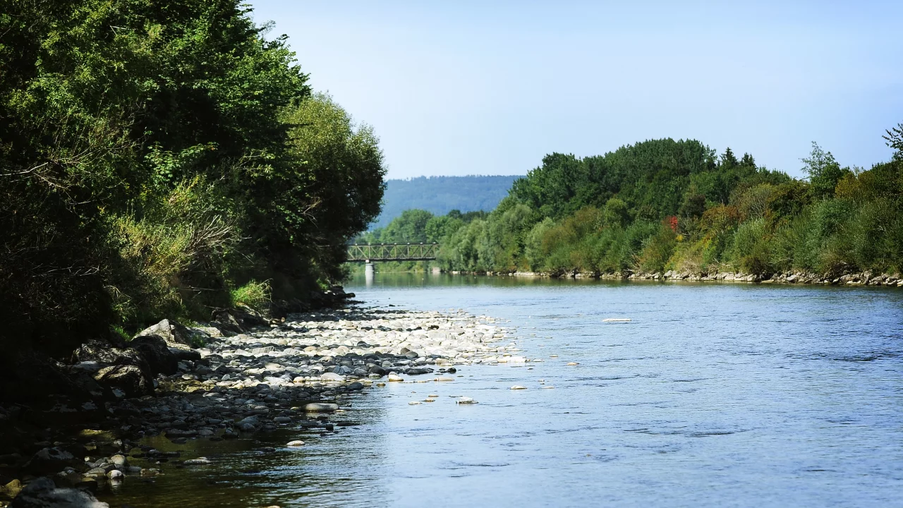 речка, деревья, вода