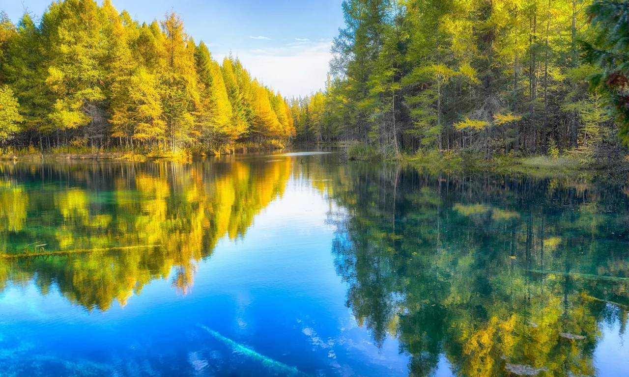 река, лес, осень